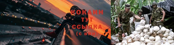 прущие крисы Приозерск